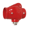 Grooved Swing Check Valve