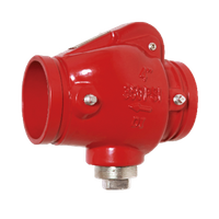 Grooved Swing Check Valve