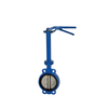Extension Stem Butterfly Valve