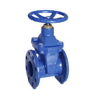Bs Flanged Resilient Nrs Gate Valve