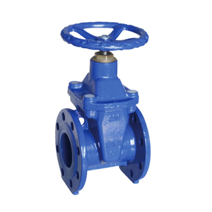 Bs Flanged Resilient Nrs Gate Valve
