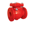Swing Check Valve