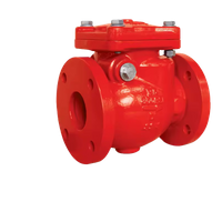 Swing Check Valve