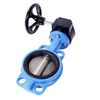 Worm Gear Wafer butterfly Valve 
