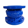 Silent Check Valve