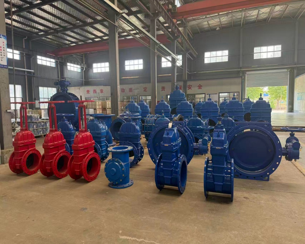 WechatIMG3035_副本