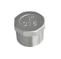  Stainless Steel Hex Plug 