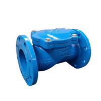 Rubber Coated Ball Check Valve (Spherical Check Valve)