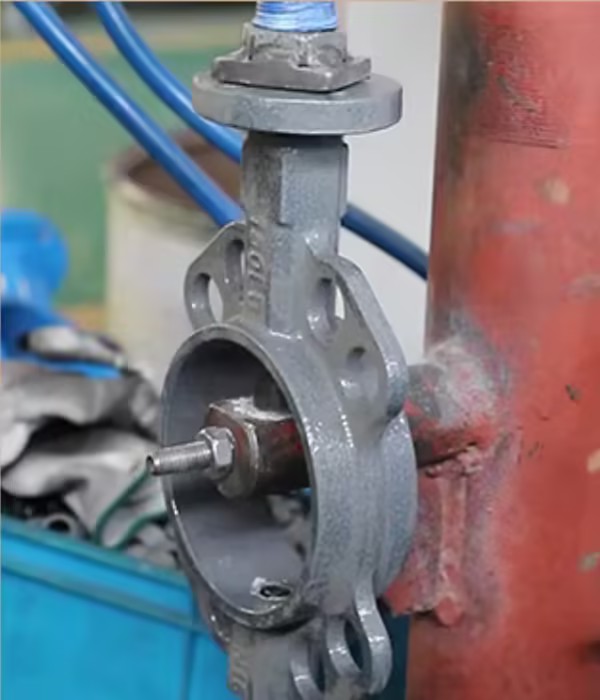 Butterfly Valve